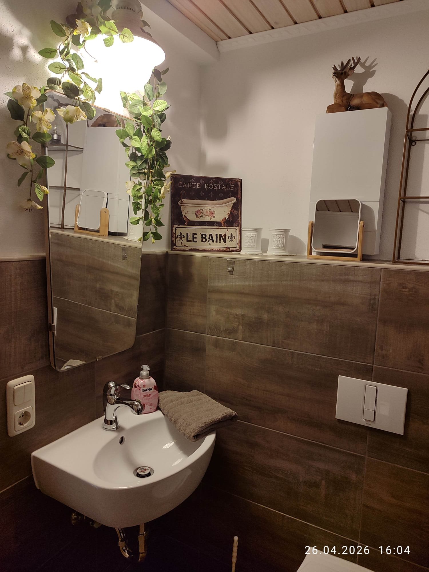 Blick ins Bad mit Dusche